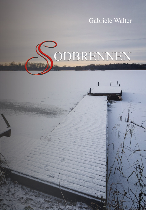 Cover von Sodbrennen